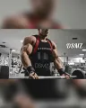 Premium Arm Blaster Bicep Curl Support_ Black. 