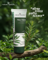 Nature Beauty Tea Tree Face Wash 100 Ml Skin Care Product.