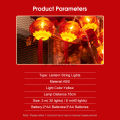 Auoyo Spring Festival Lantern String New Year Celebration Light Lantern Red Lantern Festival Atmosphere Decoration Curtain Light String Chinese Red Lanterns Decorations Hanging Lanterns with Tassel. 