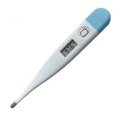 Digital Thermometer. 