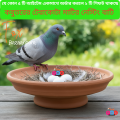 Code- 6084 - 1 Pcs Terracotta Clay Nesting Bowl for Pigeon Egg Laying (Natural) | bird cage,bird accessories,bird food,bird toys,bird nest,bird harness,bird cage big size,bird feeder,bird house,bird cage decoration,bird cage big size steel,cage small. 