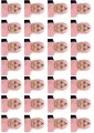 28 pcs passport size  photo Print, Customized photo Online Now (Print Only). 