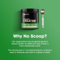 Optimum Nutrition Micronized Creatine Monohydrate Powder, Unflavored, 60 Servings, 300 Grams. 