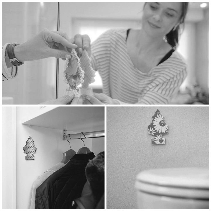 Little%20Tree%20New%20Car%20Scent%20Car%20Air%20Freshener%20%E0%A5%A4%20Little%20Trees%20%E0%A5%A4%20Little%20Trees%20Perfume%20%E0%A5%A4%20Air%20Frehener%20%E0%A5%A4%20Car%20Perfume%20%E0%A5%A4%20%20Little%20Tree%20Air%20Freshener%20%E0%A5%A4%20Little%20Trees%20Perfume%20%E0%A5%A4%20New%20Car%20Scent%20%E0%A5%A4%20Skyline%20Autos%20-%20Image%208