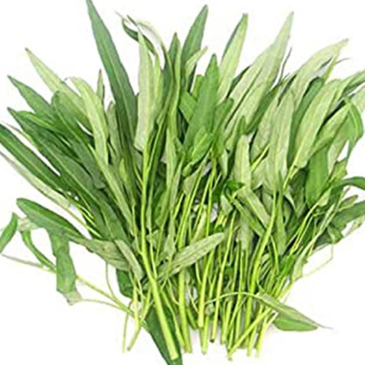 Water Spinach Seeds- 100+ pieces (Intek Packet) কলমি শাকের বীজ