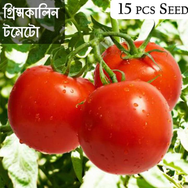 Summer%20Tomato%20-%2015/30%20pcs%20%20F1%20Hybrid%20Seed%20-%20%20%E0%A6%97%E0%A7%8D%E0%A6%B0%E0%A6%BF%E0%A6%B7%E0%A7%8D%E0%A6%AE%E0%A6%95%E0%A6%BE%E0%A6%B2%E0%A6%BF%E0%A6%A8%20%E0%A6%9F%E0%A6%AE%E0%A6%BE%E0%A6%9F%E0%A7%8B%20%E0%A6%B9%E0%A6%BE%E0%A6%87%E0%A6%AC%E0%A7%8D%E0%A6%B0%E0%A6%BF%E0%A6%A1%20%E0%A6%AC%E0%A6%BF%E0%A6%9C%20%E0%A6%85%E0%A6%B8%E0%A6%AE%E0%A7%9F%20%E0%A6%AC%E0%A6%BE%20%E0%A6%AC%E0%A6%BE%E0%A6%B0%E0%A6%AE%E0%A6%BE%E0%A6%B0%E0%A6%87%20%E0%A6%AC%E0%A6%AA%E0%A6%A8%20%E0%A6%95%E0%A6%B0%E0%A6%BE%20%E0%A6%AF%E0%A6%BE%E0%A7%9F%20-%20Image%202