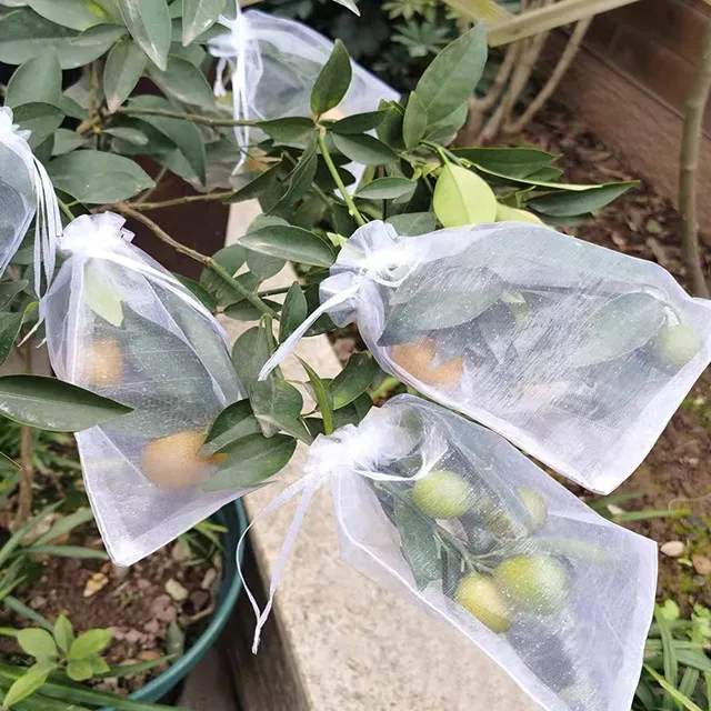 10%20Pcs%20Fruit%20Protection%20Bags%20to%20Cover%20Fruit%20Nylon%20Protective%20Basket%20Mesh%20Cover%20-%20Image%202