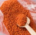 Red Lentils | Raw Lentils | Astho Red Lentils | Musor Dal | Moosur Dal - 2 Kg (Poly Bag). 