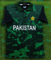 Pakistan Short Sleeve Polo Jersey For - Pakistan Cricket Jersey. 