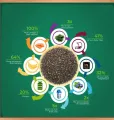 Premium Organic Chia Seeds 1kg - High in Omega-3, Fiber & Antioxidants, Ideal for Weight Management.