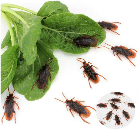 Funny%20toy%20Fake%20Cockroach%20Novelty%20Roaches%20Bugs%20Realistic%20Insects%20toy%20Prank%20Simulation%20Tricky%20Disgusting%20Scary%20Spoof%20toy%205%20pcs%20-%20Image%205