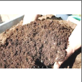 Coco peat Media For Seedling 2 kg. 