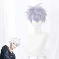 Anime Jujutsu Kaisen Gojo Satoru Release State Wig Cosplay Synthetic Wigs Playing Powder Short Sier White Hair Halloween. 