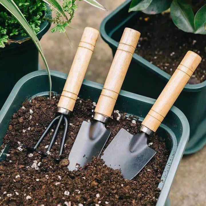 3pcs/set Garden Hand Tools Sets Mini Metal Garden Hand Tools Garden Shovel