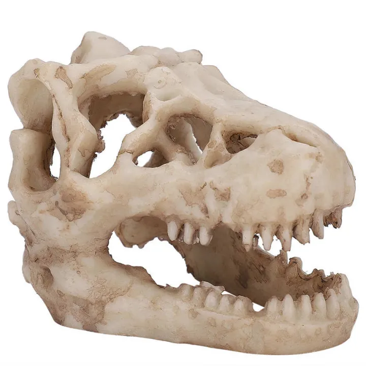 fish%20tank%20decor%20artificial%20simulation%20dinosaur%20skull%20shape%20for%20water%20lan%20-%20Image%206
