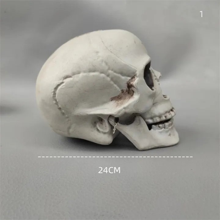 size%20Skull%20prop%20Creepy%20Lifelike%20Resin%20material%20Skeleton%20head%20decoration%20Detachable%20jaw%20Realistic%20looking%20skulls%20for%20Halloween%20-%20Image%206