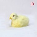 【Best value for money】 Realistic Furry Animal Doll Chick Soft Plush Children Cognition Chicken Model Sound Chicken Easter Gift Kids Toys Mall.