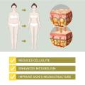 North Moon Body Shaping Capsules Shape Body Feminine Capsules Slim Capsules Body Shaping Capsules For Young Lady.