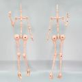 Presale Doll Parts for 1/4 Imomo Doll Skeleton Mechanical Joint Movable Doll Replacement Doll Accessories. 