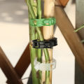 10pcs Plastic Tomato Plant Lock Clips Garden Clips for Fixed Greenhouse Agriculture Tomato Vine.