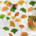40PCS Green Leaf Maple Leaves Leaf Stickers Nature PET Scrapbook Stickers DIY Style Diary Stickers Album Journal. 