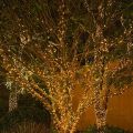 Decorative Fairy Lights - 30 Feet Golden. 