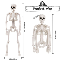 1 Piece Halloween Skeletons Decorations Posable Plastic Skeleton Full Body Skeleton with Movable Joints White.