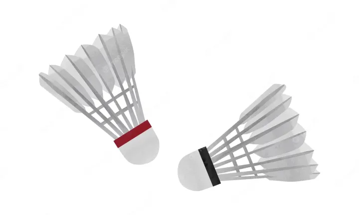 Enjoy%20Badminton%20With%20Shuttlecock%20Pack%20Of%202%20Feather%20Shuttle%20Badminton%20Cork%20-%20High-Quality%20Feathers%20For%20Smooth%20Play%20-%20Image%205