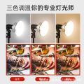 Photography, soft light box, LED tritone warm background light, hair light, live , beauty fill light, mushroom light.