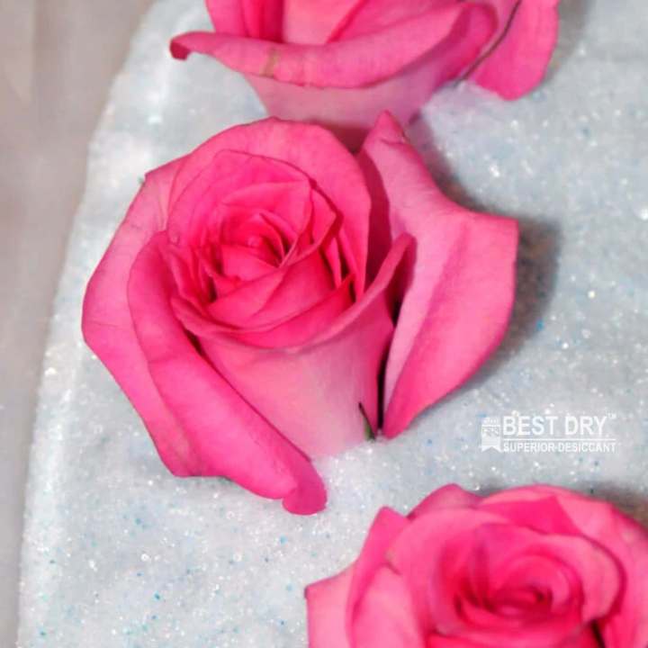 Flower%20Drying%20Silica%20Gel%20500gram%20special%20desiccant%20for%20superb%20looking%20drying%20agent%20-%20Image%206