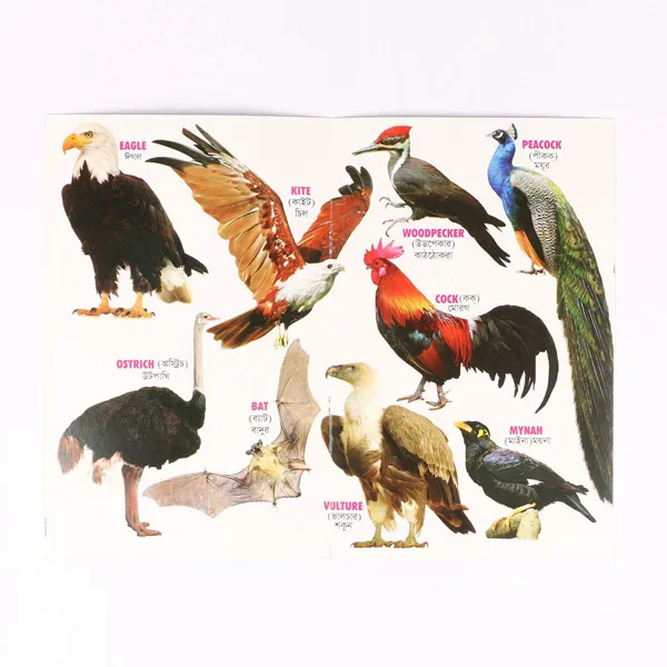 8%20PCS%20Laminated%20Kids%20Book%20Set%20%E2%80%93%20Fruits%20Flowers%20Birds%20Fish%20Vegetables%20Reptiles%20Vehicles%20&%20Animals%20Picture%20Learning%20Alphabet%20in%20Bangla,%20English%20Letter%20Early%20Education%20Preschool%20Kindergarten%20Toddler%20Study%20for%20Children%20-%20Image%204