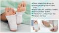 Kinoki Cleansing Detox Foot Pad - 10 Pads.