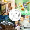 Aquarium Siphon Vacuum Cleaner for Gravel and Sand, Fish Tank Vacuum Gravel Cleaner, Manually Fish Tank Water Changer.