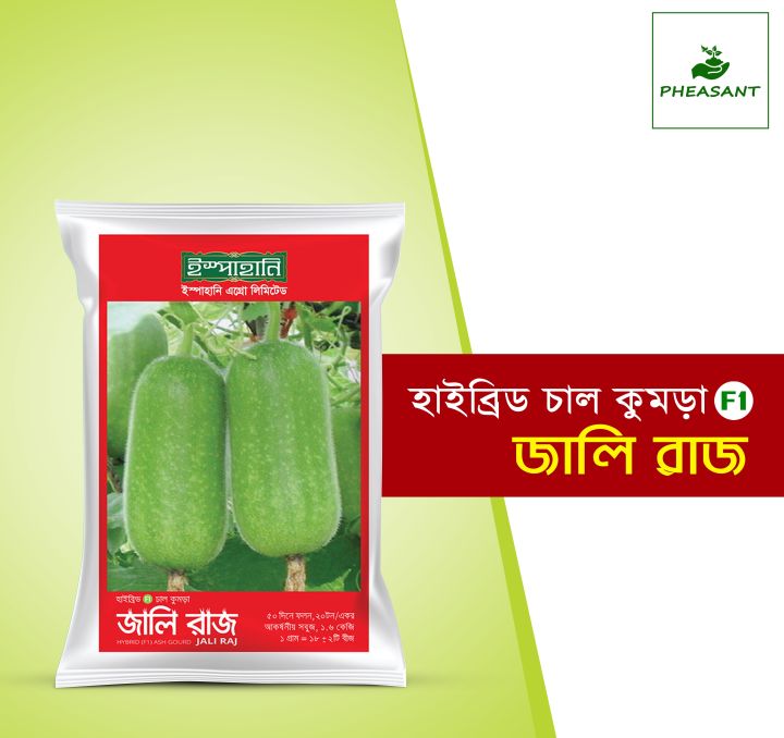 Hybrid (F1) Ash Gourd Seed (চাল কুমড়া) Jali Raj (Intact Packet) -10gm
