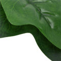 Betta Bed Leaf Hammock Comfortable and Safe Plastic Betta Fish Leaf Pad for Resting and Breeding. 