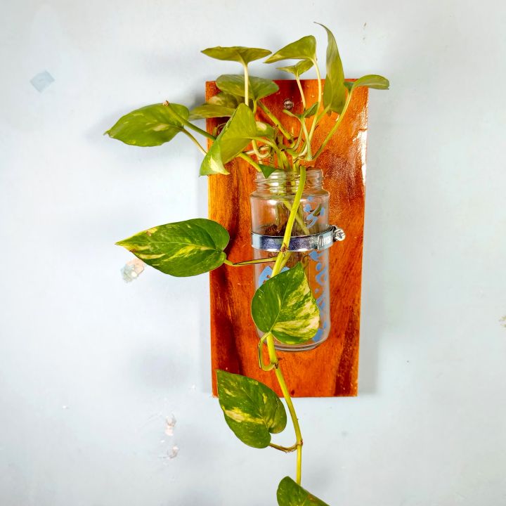 Wall%20flower%20Vase%20of%20natural%20wood%20and%20glass%20for%20office%20and%20living%20room.%20(with%20&%20without%20plant)%20-%20Image%203