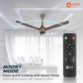 Orient Aeon BLDC PRO Motor 48" Ceiling Fan with Remote (Tangerine Brown).