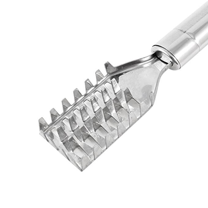 Stainless Steel Fish Scale Cleaner - Silver