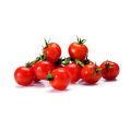 Cherry Tomato Red Color - 20 pcs Seed F1 Hybrid - চেরি টমেটো লাল.