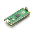 Raspberry Pi Pico Module. 