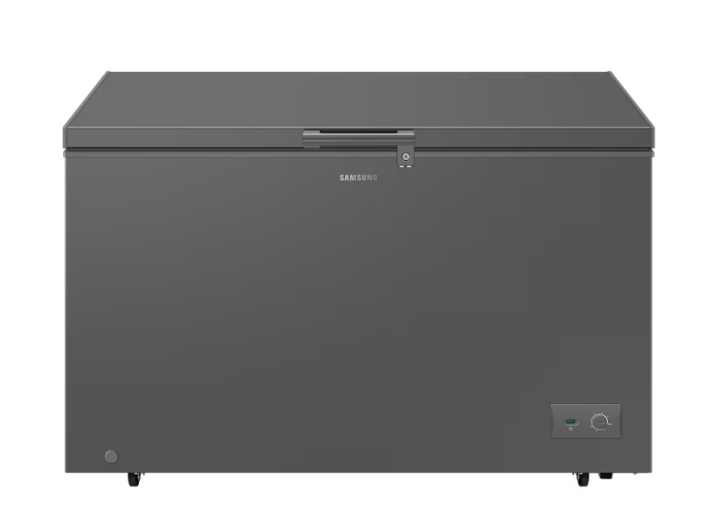 SAMSUNG 371 Liter One Door Freezer With Premium Design | RI70F37V1GAGH