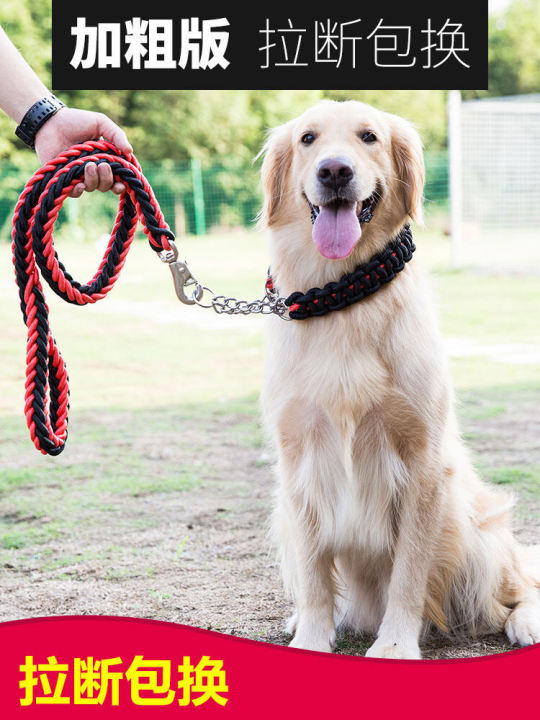 Big Dog P Chain Hand Holding Rope Dog Chain Golden Retriever
