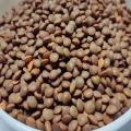 Gota Moshur dal for Bird foods - 1kg. 