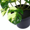 Tropical Artificial Party Decoration For Home Garden Decor Office Living Room Fake Plant Simulation Plants Turtle Leaves Green Plant.