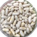 White Kidney Beans/ Rajma White- 1 kg. 