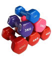 Premium Quality 1kg vinyl Dumbbell 2 pcs ( 4 color available ) - Sports & Fitness. 