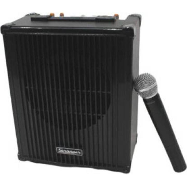 Stranger%20Musical%20Amplifier%20with%20Microphone,%2029%20-%20Image%202