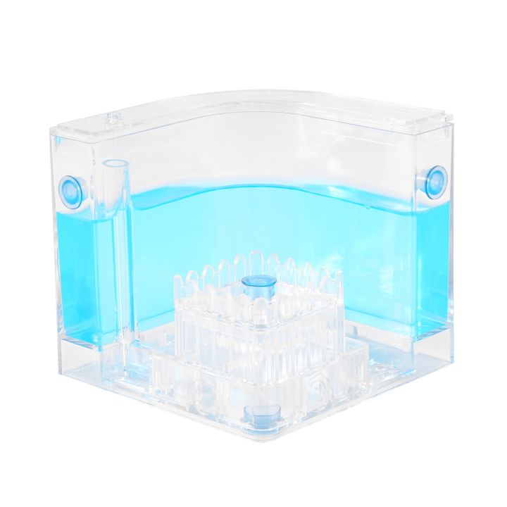 DIY Moisture with Feeding Area Ant Nest Ant Farm Ant Nests Villa Pet