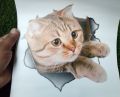 Lavish indulgent - 3D Broken hole Design Cute Cat Art 3D Wall Sticker Decal Children Room Decor 3D Cat Sticker - Sensible - Must Have. 