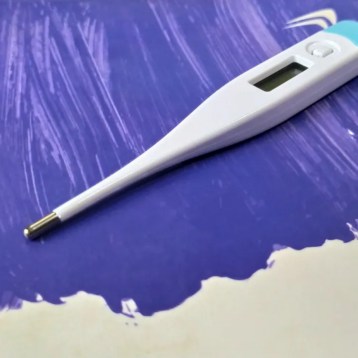 Digital%20Thermometer%20for%20Measuring%20Fever%20in%20Human%20Body.%20-%20Image%202